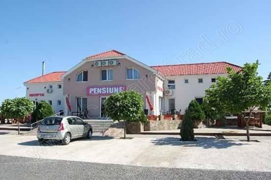 Pensiunea Rodica Nadlac Εξωτερικό φωτογραφία